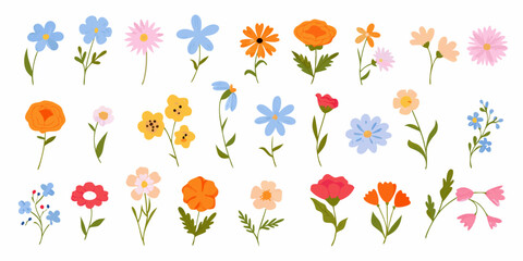 Obraz premium A colorful collection of hand drawn wildflower illustrations on a white background