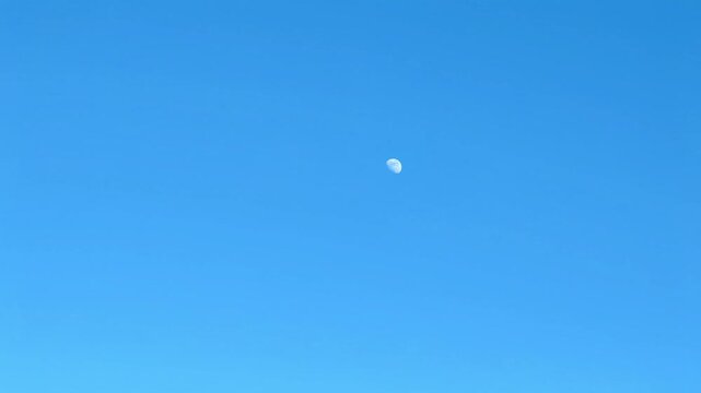 timelapse gibbous moon traversing cloudless, vibrant blue sky during daylight, showcasing its bright, detailed surface against celestial background clear summer day.