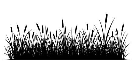 A silhouette of cattails and tall grass against a white background, creating a natural border effect. © Kiki