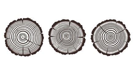 Three detailed illustrations of tree trunk cross-sections showing growth rings and bark texture. © Kiki