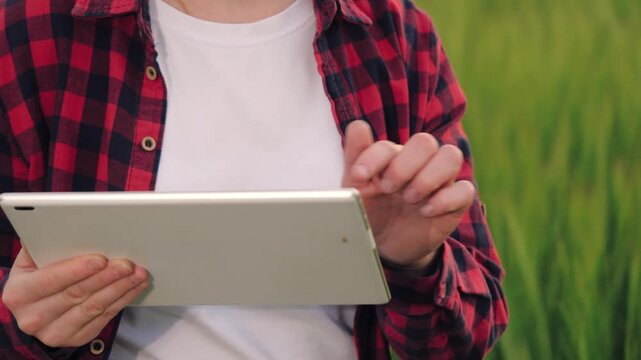 farmer field wheat, work hand tablet, farmer agriculture hand tablet, wheat field business hand digital tablet, harvested businessman man weed farm senior girl technologies plants fertilizes processes