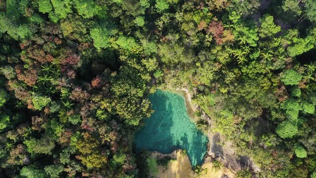 Emerald Pool is a natural spring with a greenish-blue color, located in a protected forest and wetland area within the Khao Pra-Bang Kram Wildlife Sanctuary in Krabi Province, Thailand.