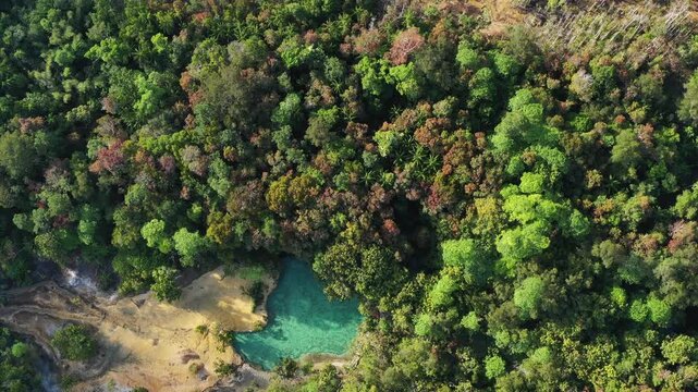 Emerald Pool is a natural spring with a greenish-blue color, located in a protected forest and wetland area within the Khao Pra-Bang Kram Wildlife Sanctuary in Krabi Province, Thailand.