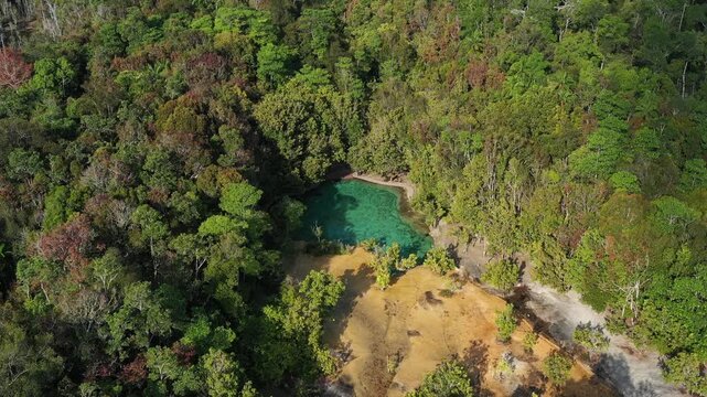Emerald Pool is a natural spring with a greenish-blue color, located in a protected forest and wetland area within the Khao Pra-Bang Kram Wildlife Sanctuary in Krabi Province, Thailand.