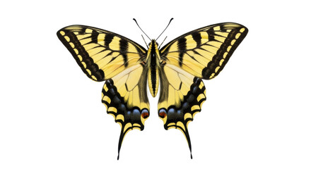 Naklejka premium Eastern tiger swallowtail butterfly PNG isolated on transparent background, yellow and black insect with open wings for design use