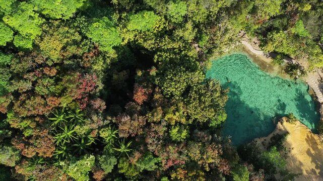 Emerald Pool is a natural spring with a greenish-blue color, located in a protected forest and wetland area within the Khao Pra-Bang Kram Wildlife Sanctuary in Krabi Province, Thailand.
