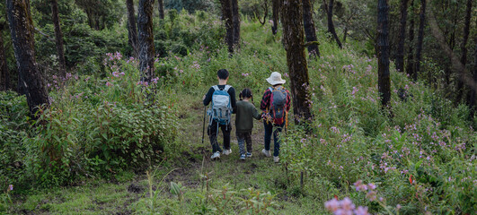 Fototapeta premium Tourists are embarking on mountain climbing and exploring the rainforest.