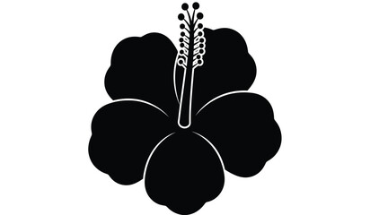 Black silhouette of a hibiscus flower with detailed stamen and petals © Thysl2000