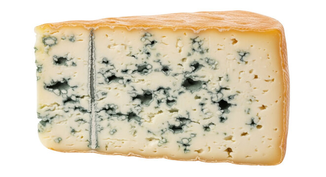 Wedge of Fourme d Ambert cheese isolated PNG, French blue cheese with mold on transparent background, creamy and flavorful dairy product