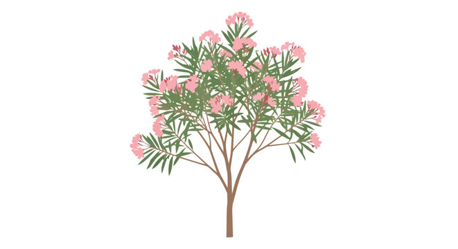 Vibrant Oleander Shrub Bloom Illustration with Pink Flowers and Green Foliage Isolated on White