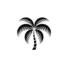 Obraz premium Black and white palm tree with two symmetrical fronds tropical nature
