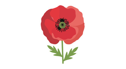 Vibrant red poppy blossom illustration on a clean white background symbolizing remembrance and natural beauty a charming floral graphic design