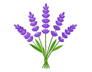 Cartoon illustration of a lavender bouquet with purple flowers and green stems