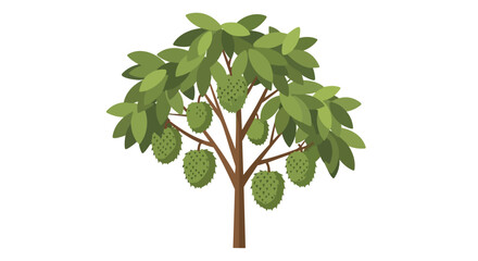 Obraz premium Illustrative soursop tree with green spiky fruits and lush leaves a detailed botanical depiction of exotic flora