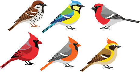 Collection of colorful garden bird illustrations including northern cardinal, sparrow, blue tit, and bullfinch isolated on white background for nature and wildlife design. © MdGolam