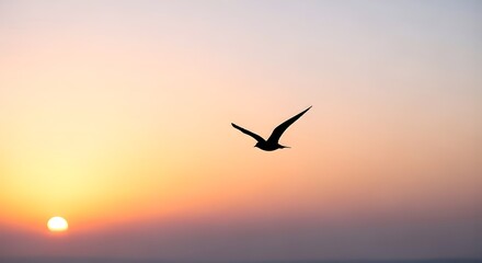 A bird flies in the sky during a beautiful sunset