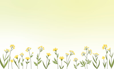 Yellow wildflowers on a soft yellow gradient background