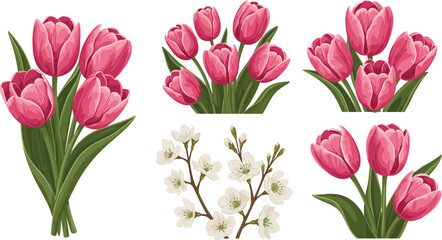 Obraz premium Pink tulip flower bouquet vector set, spring floral collection, botanical illustrations, isolated on white background, decorative nature elements