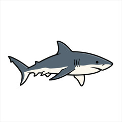 Obraz premium shark vector illustration design