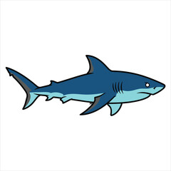 Obraz premium A beautiful shark illustration vector art