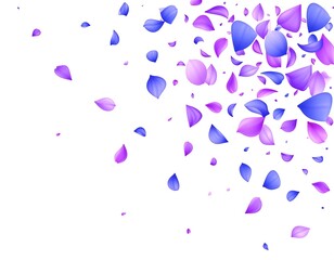 Colorful petals scattered on a white background, creating a floating effect