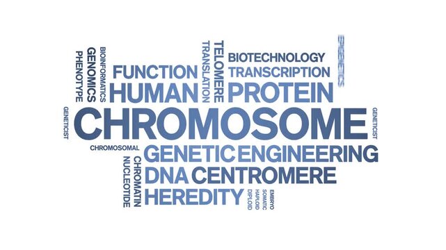 Chromosome animated word cloud-text design animation tag kinetic typography seamless loop.