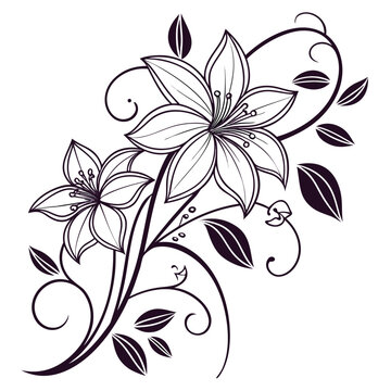 autumn joy clematis vector