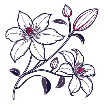 autumn joy clematis with leaves