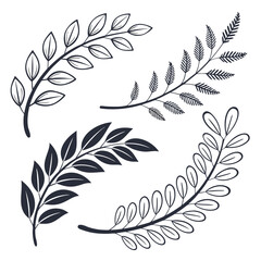 Obraz premium Elegant black and white illustration of three different leafy branches Vector