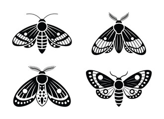 Four Stylized Black Moth Silhouettes on White Background