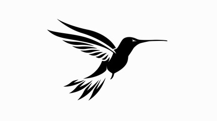 Obraz premium Elegant black and white hummingbird graphic in flight isolated on white
