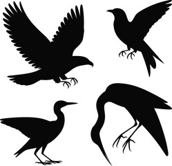 Obraz premium Black bird silhouette collection flying and landing poses isolated on white background vector illustration wildlife design for logo icon branding