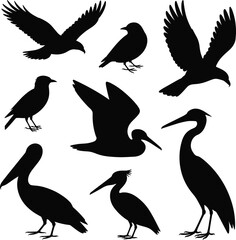 Obraz premium Black bird silhouette collection flying standing poses isolated on white background vector wildlife illustration for logo icon branding design use