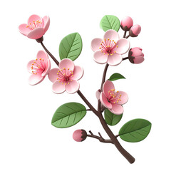 Delicate Pink Cherry Blossom Branch with Green Leaves on Transparent