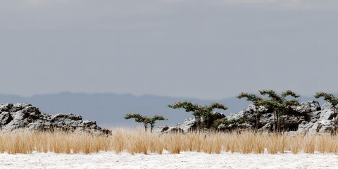 A serene desert landscape with trees and rocks on a sandy terrain under a gray sky