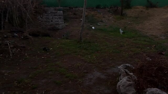 Pasando por en medio de un columpio de madera en un bonito patio