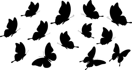 Collection of black feather silhouettes on white background © PIXAVIVE