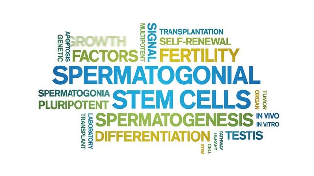 Spermatogonial Stem Cells animated word cloud-gross domestic product animation tag kinetic typography seamless loop.