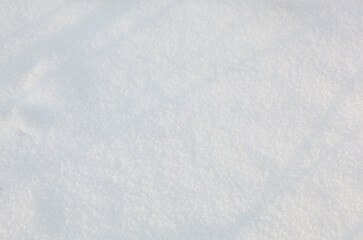 Fototapeta premium Winter snow in park. Snowy white texture. Winter background with snow patterns. Snowy ground