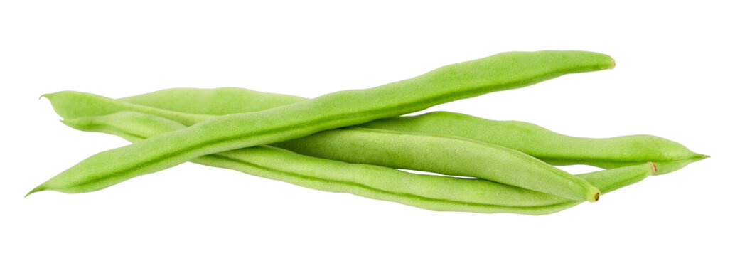 bean pods isolate on a white background