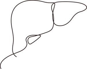 Fototapeta premium Human liver, minimalist internal organ continuous line drawing. 