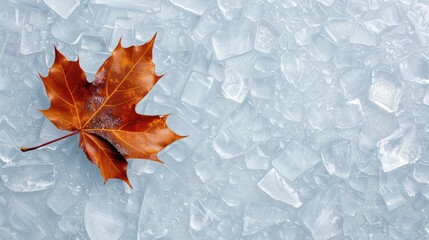 Brown Leaf on Ice Cubes in Cool Blue Background for Seasonal and Nature-Themed Projects