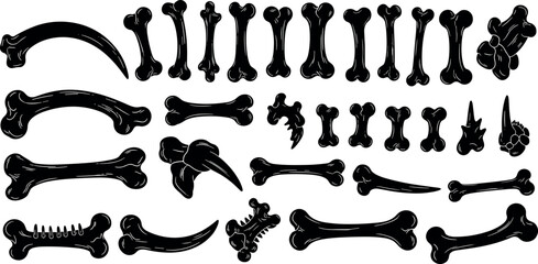 Collection of black dinosaur bone silhouettes and fossils vector illustration set for Halloween, archaeology and spooky design elements. © DALIARA 