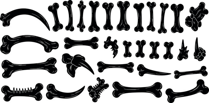 Collection of black dinosaur bone silhouettes and fossils vector illustration set for Halloween, archaeology and spooky design elements.