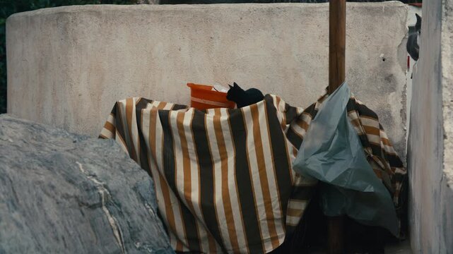 A black cat sits quietly near an orange bucket, partially hidden behind striped fabric. It is resting in a beach environment.