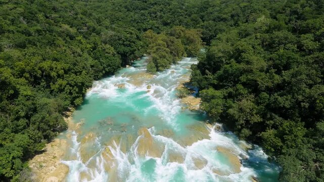Explore Tamul Falls in Huasteca Potosina, San Luis Potosi, Mexico with lush vegetation and clear water