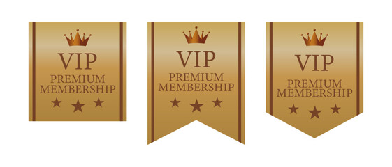 王冠と星装飾を組み合わせたVIP向け高級会員バッジデザイン