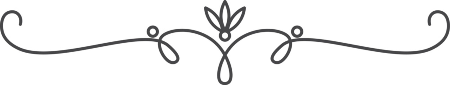 Elegant line divider. Decorative filigree fancy ornament