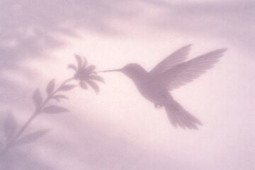 Naklejka premium A hummingbird shadow in flight reaching for a flower while sunlight filters through leaves early in the day in a garden