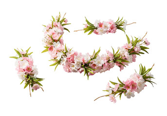 Pink Flowers Arranged in Circle Shape.